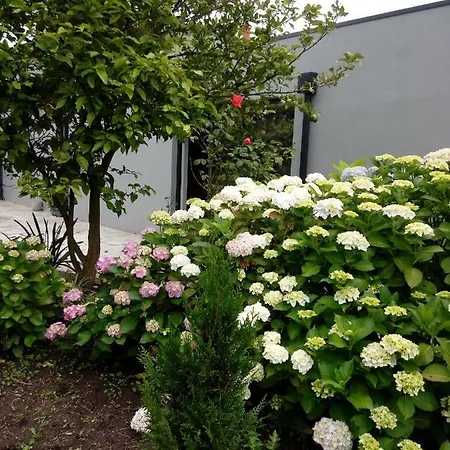 Garden House Ramalde Vila Porto Exterior foto