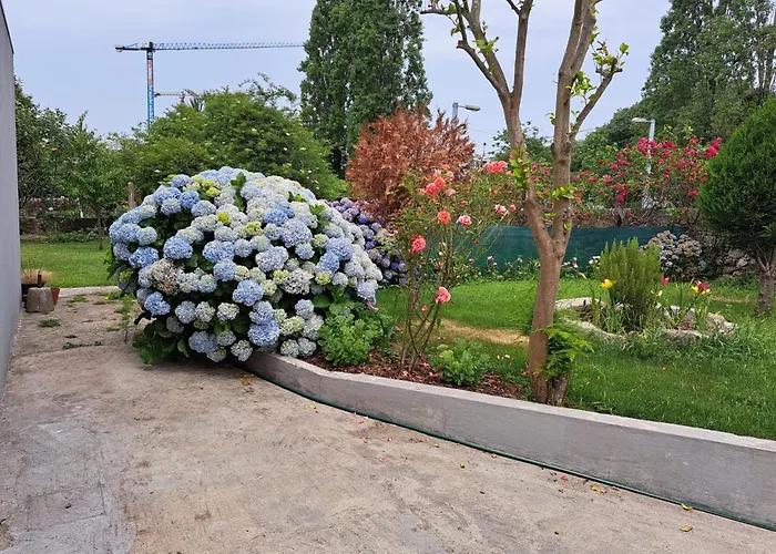 Garden House Ramalde