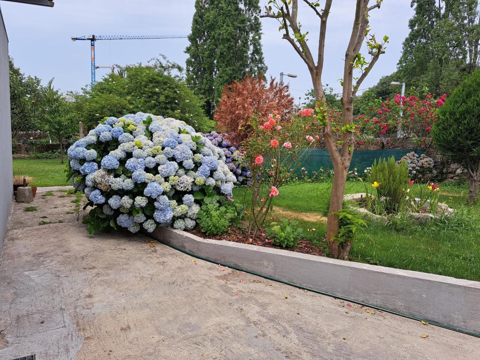 Garden House Ramalde Porto