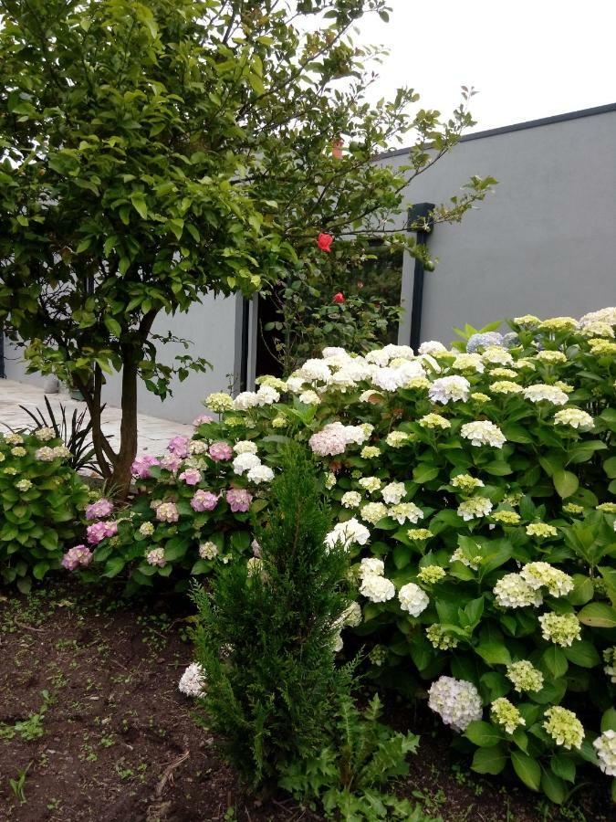 Garden House Ramalde * Porto
